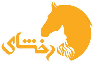 هوش مصنوعی ایرانی رخشای