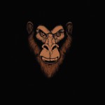 A lion picture that has a monkey head