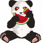 یک پاندا که دست و پای آن شبیه میمون است و در حال خوردن هندوانه است