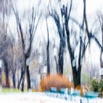 عکاسی آرام از یک پارک در هنگام بارش ملایم برف، با استفاده از سرعت شاتر آهسته برای محو کردن دانه‌های برف.