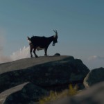 A goat running on a mountain top