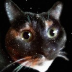 cat, realistic, hyper detail --q .25