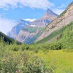 کوه بلند وغیرقابل صعود درمیان چنگ سرسبز