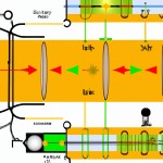 A schematic view of Michelson's optical circuit for experiment to mesure the speed of light.