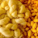 Vestor silk