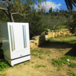تصویری از یک سردخانه در باغ زیتون
