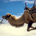 شتر درحال پرواز