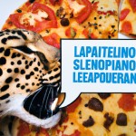 یوزپلنگ در خوردن پیتزا