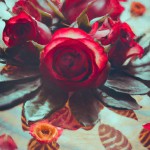 گل مریم عاشقانه