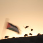 گرد باد به رنگ پرچم فلسطین،پشت سر طلوع افتاب،روبروی گردباد جمعیت زیادی از موش هی وحشی،چنگالها پر از خون،در حال فرار از گردباد،فضای موشها خاک الود وترسناک