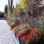 خیابان گل ھا در ھمدان