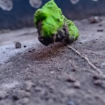 یک آدم فضایی رو با جزئیات بالا نشون بده در حالی که یک انسان رو دستگیر کرده است و زمین در حال نابودی بدست آدم فضایی ها است