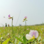 یه عکس بکش