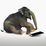 فیل در حال بازی با موبایل