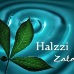 کلمه "زلال سرا" بزرگ و زیبا در پس زمینه، قطره بزرگ آب سمت چپ و قطرات آب پراکنده و قطرات آب زلال روی برگ ها، آب کمی متلاطم و زلال و با مفهوم شفاف و زلال بودن، رنگ های اصلی همه سبز روشن و آبی روشن باشند و شفافیت و طراوت در همه اجزای تصویر باشد.
