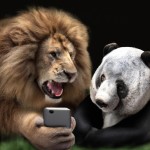 گفتگوی  شیر و خرس پاندا با موبایل