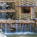 کوه آبشار  پرندگان  کلبه  چوبی پایین  آبشار