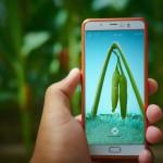 روز قیامت را به زیبایی تمام به تصویر بکش