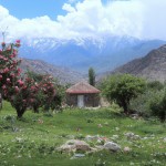 خانه یزدی در میان دشت پر از گل و پس زمین کوه های برفی