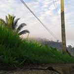 تصویر واقعی بهشت که خدا به وعده داده