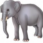 فیل