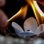 مقابله کودک و آتش و گل