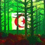 یک تصویر از یک جنگل که در آن یک پرچم بزرگ الجزایر قرار گرفته است