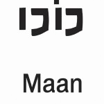 مرد