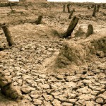یک صحرای بزرگ که نزدیک به هزاران نفر رو زیر خاک دفن کردن