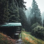 کلبه چوبی وسط جنگل در حال باران