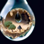An intricate scene where a single drop of water, magnified, contains an entire miniature ecosystem. Inside the drop, a desert oasis, beautiful.