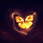 پروانه ای دور قلب نورانی