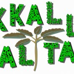 تایپوگرافی گیاه کالا