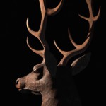 یک تصویر از زال درست کن