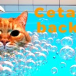 Pixar-style 3D close-up of a funny orange cat with big curious eyes sitting in a bubble bath full of shiny marbles, foam floating around, cat looks surprised and clever, cinematic lighting, soft reflections, vibrant warm colors, 16:9 composition, text on screen: “GENIUS CAT BUBBLE HACK!