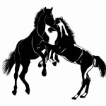 یک تصویر برای رخشای درست کن که پر از اسب باشه