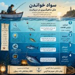 می خوام یک پوستر برام طراحی کن که باهاش سواد خواندن رو به دانش آموزان دبیرستانی خودم آموزش بدم. چهار سطح تمرکز و بازیابی اطلاعات ، استنباط ، استدلال و استنتاج رو در خواندن به سادگی توضیح بده. می خوام کتاب خواندن مثل ماهیگیری در دریا تصور بشه و این چهار سطح رو با رو با این تشبیه شرح بده، در پایان نام خودم فائقه رمضانعلی زاده رسولی و نام استادم جناب دکتر حمیدرضا کرمی هم قرار بگیره