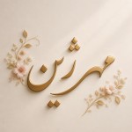 زیبا بنویس مهرژین